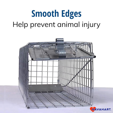 Medium One Door Live Catch Humane Trap For Rabbits Skunks Minks And Squirrels With Smooth Internal Edges And A Handle Guard For Safe Humane Release Pro Style Catch And Release Trap with open door showing interior.