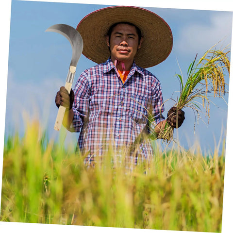 Farmer holding a Long Handle Manganese Steel Grass Sickle For Weeding And Harvesting, Hand Tool With Wooden Grip in a field
