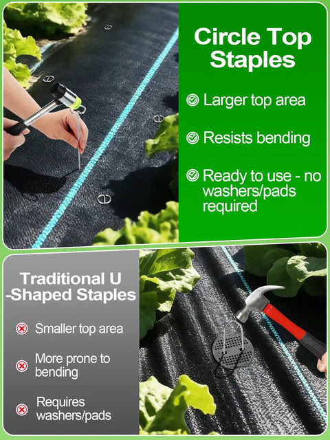 Comparison of circle top staples and U-shaped staples with 12 Inch Landscape Staples With Hook And Hammer Kit 60 Count Circle Top Garden Stakes For SOD And Edging 9 Gauge Galvanized Rust Resistant Pins Easy Install And Quick Removal Tools Included.