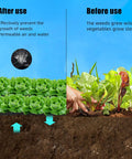 Heavy Duty 6 By 300 Ft Weed Barrier Landscape Fabric Three Point Two Oz Ground Cover Garden Mat Premium Erosion Control and No Fuss Weed Blocking For Your Yard Upgrade before and after use comparison with vegetables