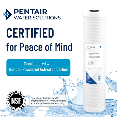 Big Blue 20 Inch Carbon Water Filter Cartridge with bonded PAC visible, NSF certified for whole house use.