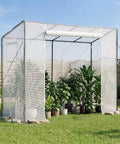 Walk In Greenhouse For Outdoors With Windows PE Cover Roll Up Zipper Door 76.8 Inches Long 30.3 Inches Wide 66.1 Inches High