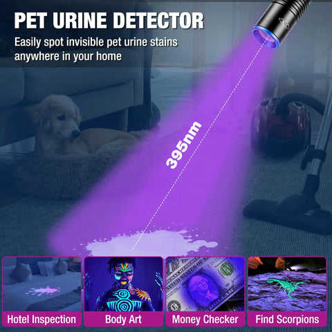 Two In One UV Pen Flashlight With White Light And 395nm Black Light illuminating pet urine spot on carpet