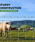 Heavy Duty Cattle Panels Built Tough For Garden Trellis And Farm Fence 4 Ft By 100 Ft Galvanized Welded Wire With Hot Dip Finish Rust Resistant
