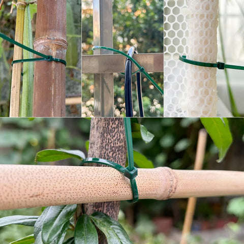4 Inch 3mm Dark Green Nylon Garden Cable Zip Ties securing plants and structures, self-locking twist ties for plants and trellises shown in use.