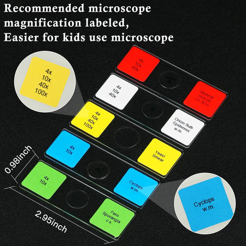 60 Lab Grade Prepared Microscope Slides With Animal Plant Microbe Tissue Specimens For Homeschool And Classroom STEM Biology Kit Hands On Science Education For Kids shown with labeled slides for easy use.