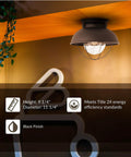 Sebring 8869-12 Outdoor Ceiling Flush Mount Light In Black Finish, One Light, wet location rated, mounted on ceiling