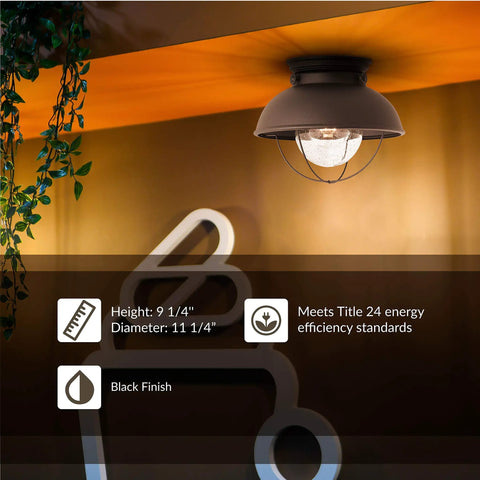 Sebring 8869-12 Outdoor Ceiling Flush Mount Light In Black Finish, One Light, wet location rated, mounted on ceiling
