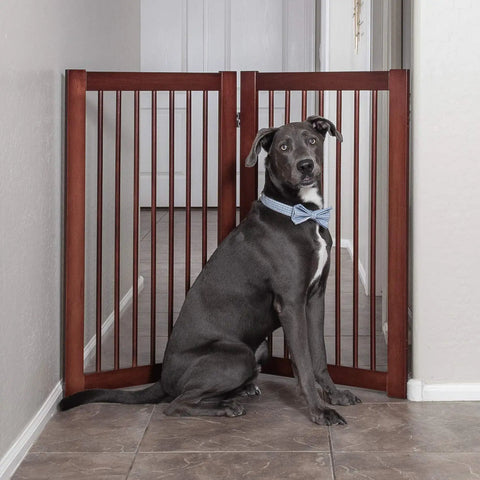 Extension Kit for 360 Configurable Walk Through Folding Pet Gate Expands Openings to 38 Inches Wide in hallway with dog
