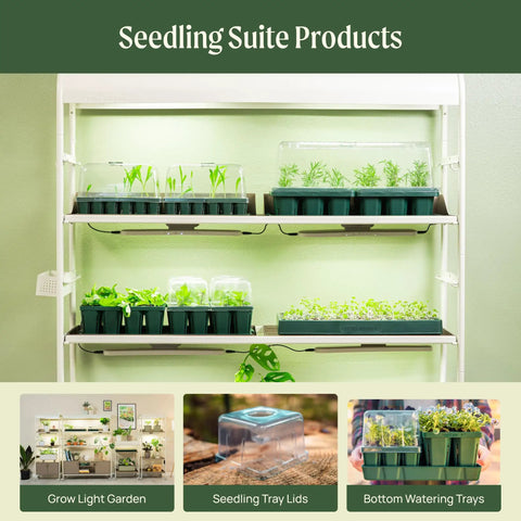 10 By 20 Inch Seed Starter Tray With 76 Cells, Stackable Germination Trays For Plants Vegetables Herbs And Flowers, Space Saving Design With Air Pruning, Great For Indoor Seed Starting, 4 Pack