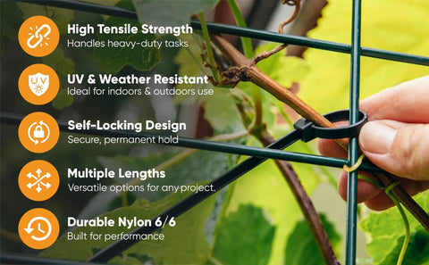 Heavy Duty 8 Inch Black Zip Ties 120 Lb Self Locking Cable Ties UV Resistant securing plant on metal frame
