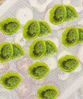 Kiwi slices on a Nonstick Silicone Dehydrator Mats 8 Pack Reusable Tray Liners For Food And Fruit Drying Steaming Mesh Sheets