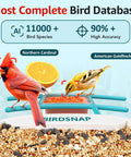 Northern Cardinal and American Goldfinch on 2K HD Bird Feeder Camera With Solar Power And 32GB Card Auto Detect and Notify AI ID