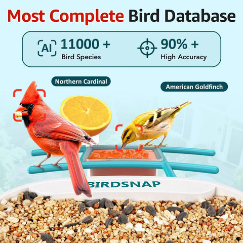 Northern Cardinal and American Goldfinch on 2K HD Bird Feeder Camera With Solar Power And 32GB Card Auto Detect and Notify AI ID