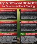 Rooting Hormone Powder For Plant Cuttings 0.80-1.60% IBA, Semi-Hardwood Starter, Speeds Up Root Growth For Any Plant Varieties, Ready-To-Use Pack For Faster Rooting Results In All Plant Types. infographic on plant cloning do's and don'ts