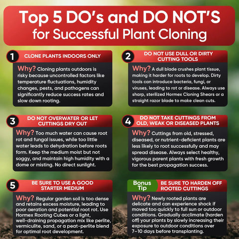 Rooting Hormone Powder For Plant Cuttings 0.80-1.60% IBA, Semi-Hardwood Starter, Speeds Up Root Growth For Any Plant Varieties, Ready-To-Use Pack For Faster Rooting Results In All Plant Types. infographic on plant cloning do's and don'ts