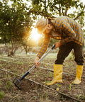 Gardener using Long Hand Cultivator With Telescopic Handle And Soft Grip For Easy Digging And Loosening And Weeding In The Garden 4 Tooth Carbon Steel And Stainless Steel Tiller Built Tough in vegetable bed