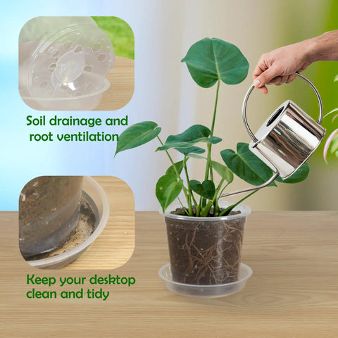 Clear 4 Inch Nursery Pots With Drainage And Saucers, 20 Pack Transparent Plant Pots in use for home garden with saucer.