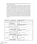 Illustration of various spinner blade types and their reflection patterns from The Legit DIY Fishing Lure Making Guide.