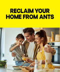 Family cooking together in a kitchen, promoting Pro Grade Indoor Ant Colony Buster Bait Stations For Households That Straight Up Wipe Out Worker Ants And Queen Dependable Gel Formula Lasts Up To Three Months Child Resistant Twist Lock Eight Count Kit.