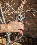 Using DualCUT Forged Steel Bypass Hand Pruner With 1 Inch Cutting Capacity For Thick Branches And Stems Garden Pruning Shears