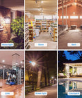 Collage of lighting in various settings: home entrance, store aisle, barn interior, gym, park street light, courtyard at night.