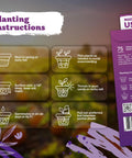 Planting instructions for Chocolate Cherry Sunflower Seeds For Planting Heirloom Non GMO Organic Variety Easy Grow Tall Six To Seven Foot Plants With Long Vase Life Blooms Ideal For Home Garden Cut Flowers And Bird Friendly Seed Pack, showing step-by-step guide and seed pack details.