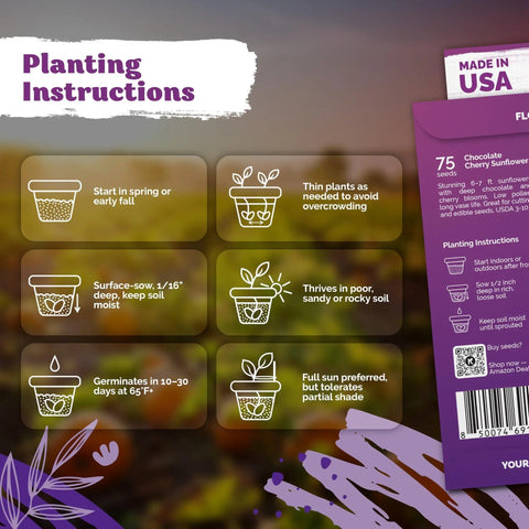 Planting instructions for Chocolate Cherry Sunflower Seeds For Planting Heirloom Non GMO Organic Variety Easy Grow Tall Six To Seven Foot Plants With Long Vase Life Blooms Ideal For Home Garden Cut Flowers And Bird Friendly Seed Pack, showing step-by-step guide and seed pack details.