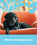 Black dog on orange sofa with graphic illustration of Odor Eliminator Spray 8 Oz Lightly Scented Pump Bottle For Bathroom Home Pets