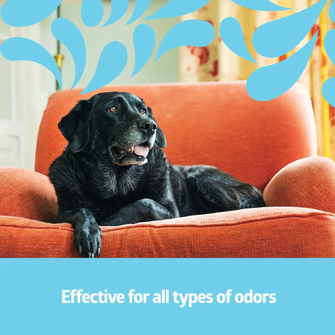 Black dog on orange sofa with graphic illustration of Odor Eliminator Spray 8 Oz Lightly Scented Pump Bottle For Bathroom Home Pets
