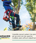 Person using Arborist Rope Ascender System With Nylon Foot Ascender Sling For Tree Climbing Durable Climbing Gear 30 Inch Bungee Elongation Absorbs Shock And Fatigue Regular Size Black And Blue in tree