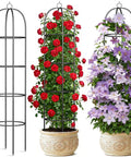 Heavy Duty Metal Climbing Plant Trellis Outdoor Freestanding Six Point Three Foot Tall Upgrade 100 Percent Metal With Powder Coating Built Tough For Roses Flowers Grapes Peas Cucumbers Tomatoes Cage