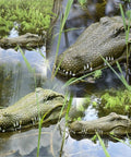 2.4 GHz Remote Control Alligator Head Boat With Realistic Resin Build, floating in a pond, crocodile decoy amid grass