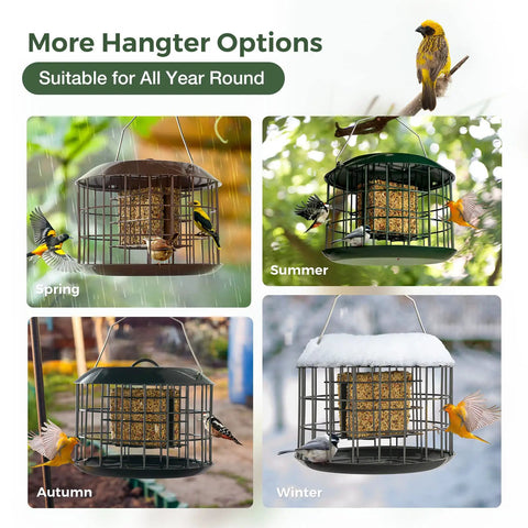 Squirrel Proof Suet Feeder For Outdoors Hanging All Metal Cage Bird Feeder With Double Suet Cake Capacity Tray shown in all seasons
