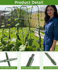 63 Inch Tall U Shape Cucumber Trellis For Raised Beds Garden Arch For Climbing Plants Outdoor Plant Support in use outdoors