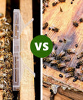 Comparison of 20 Pack Small Reusable Hive Beetle Guards For Bee Hives Beetle Blaster SHB Protector in use with bees.
