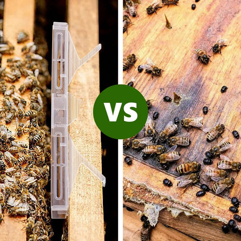 Comparison of 20 Pack Small Reusable Hive Beetle Guards For Bee Hives Beetle Blaster SHB Protector in use with bees.