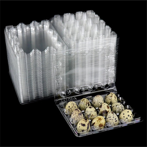Clear 50 Pack Quail Egg Cartons Plastic With Lids And Rubber Bands, 12 Egg Capacity, displaying stacked trays with eggs