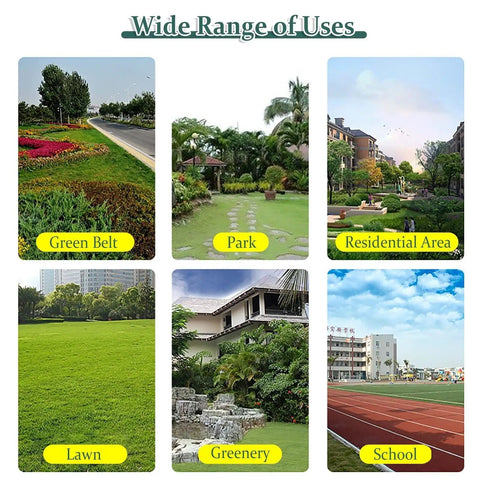 Image showing various uses for outdoor spaces: Green Belt, Park, Residential Area, Lawn, Greenery, School.