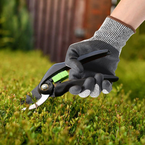 Three Pair Level Five Cut Resistant Gloves With Nitrile Coated Grip pruning plants with secateurs.