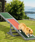 71 Inch Wooden Dog Agility Seesaw Teeter For Backyard Training with corgi on non-slip surface in a garden setting