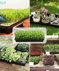 Collage of 1020 Mesh Trays with Holes showing microgreens and succulents in seed starting setup, enhancing drainage and airflow.