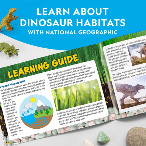 Light Up Dino Terrarium Kit For Kids Lets Them Grow Real Plants And Gemstones To Build A Prehistoric Habitat With Backdrop