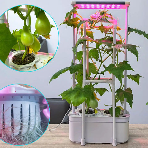 Smart Indoor Hydroponic Garden System Kit With Trellis And LED Grow Light growing cucumbers and herbs on a countertop