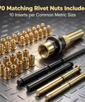 Heavy Duty Carbon Steel Rivet Nut Set With Seven Interchangeable Mandrels And Seventy Metric Inserts showing 70 gold rivet nuts and three mandrels.