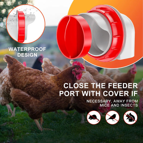 No Waste Chicken Feeder With Automatic Poultry Dish Dispenser And Easy Refill Design For Coop Organization Keeps Feed Fresh And Clean Prevents Spills Great For Backyard Hens And Small Flock Owners Who Want Low Maintenance Care