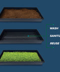 Five Pack Black Plastic Growing Trays Without Drain Holes, 21 By 11 By 2 Inches, shown with soil and microgreens