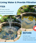 Comparison of a garden pond before and after using No Fuss 20W Solar Pond Filter Kit With Fountain Pump, showing cleaner water and clear fountain.