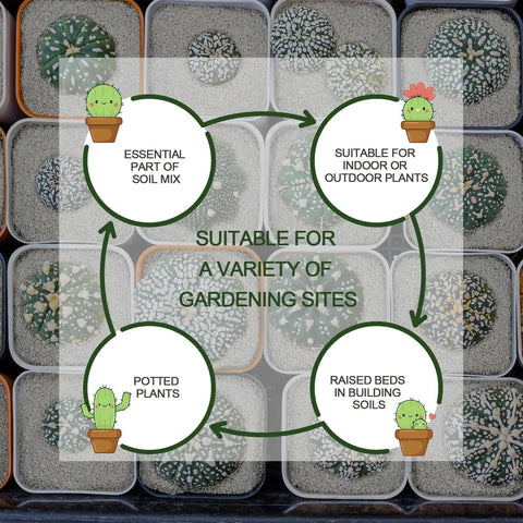 Diagram overlaid on cactus pots showing uses of 10Qt Bulk Horticultural Perlite For Plants 3 To 6mm Organic Soil Conditioner For Indoor Houseplants