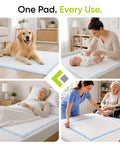 Top Shelf Absorbent Adult Incontinence Pads And Heavy Duty Bed Rescue Chucks 36X36 Disposable used for pets, infants, and elderly care.